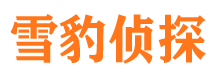 马村私家调查公司